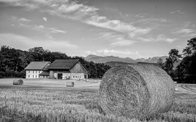 Steven Hodel Photography - Fields of Hay